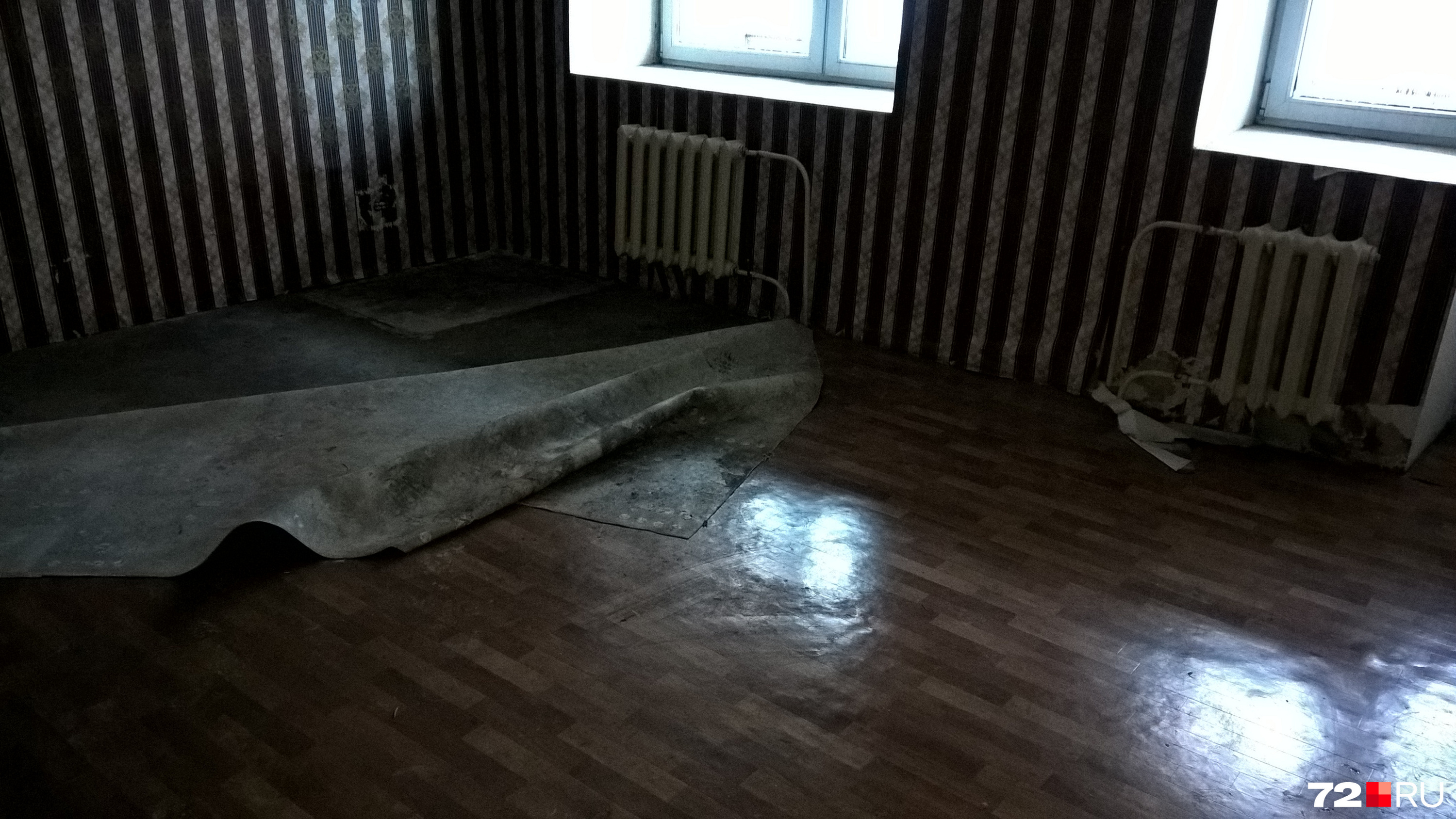 Квартира пенсионерки после потопа покрылась плесенью Квартира пенсионерки после потопа покрылась плесенью