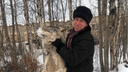 В Архангельской области увеличили на 15 тысяч выплату за добычу волка