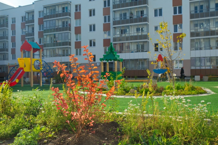 Каждый двор в «Мичуринском» украшают растения и аккуратный газон 