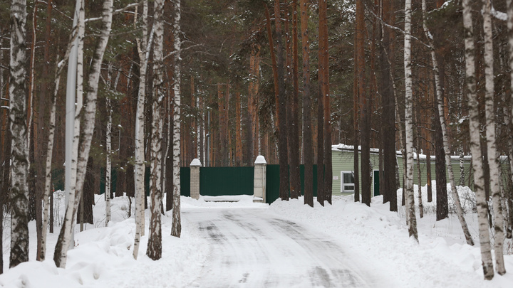 «Блефуют так, что сами себе верят»: в Челябинске расширяют резиденцию губернатора за счёт бора