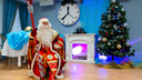 «Механизмов контроля нет»: могут ли северяне заказать выступление Деда Мороза на дом