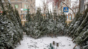 299 рублей — и елка ваша. Какие деревья и за сколько можно купить на новогодних базарах