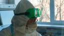 В Архангельской области за сутки выявили 246 случаев коронавируса