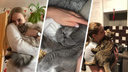 Чего хочет этот человек? Странная реакция котов на обнимашки — 12 фото (пушистики встревожены)