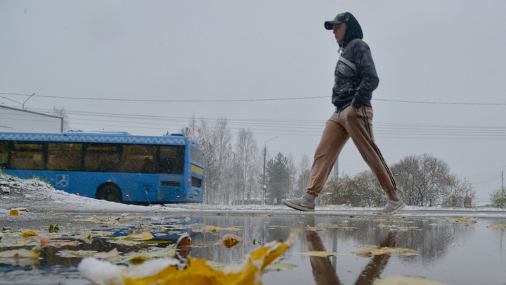 Ждать ли заморозки: в Севгидромете рассказали о погоде на выходные в Архангельской области