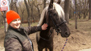 «Пришлось обменять коня на сено»: интервью с директором конного клуба