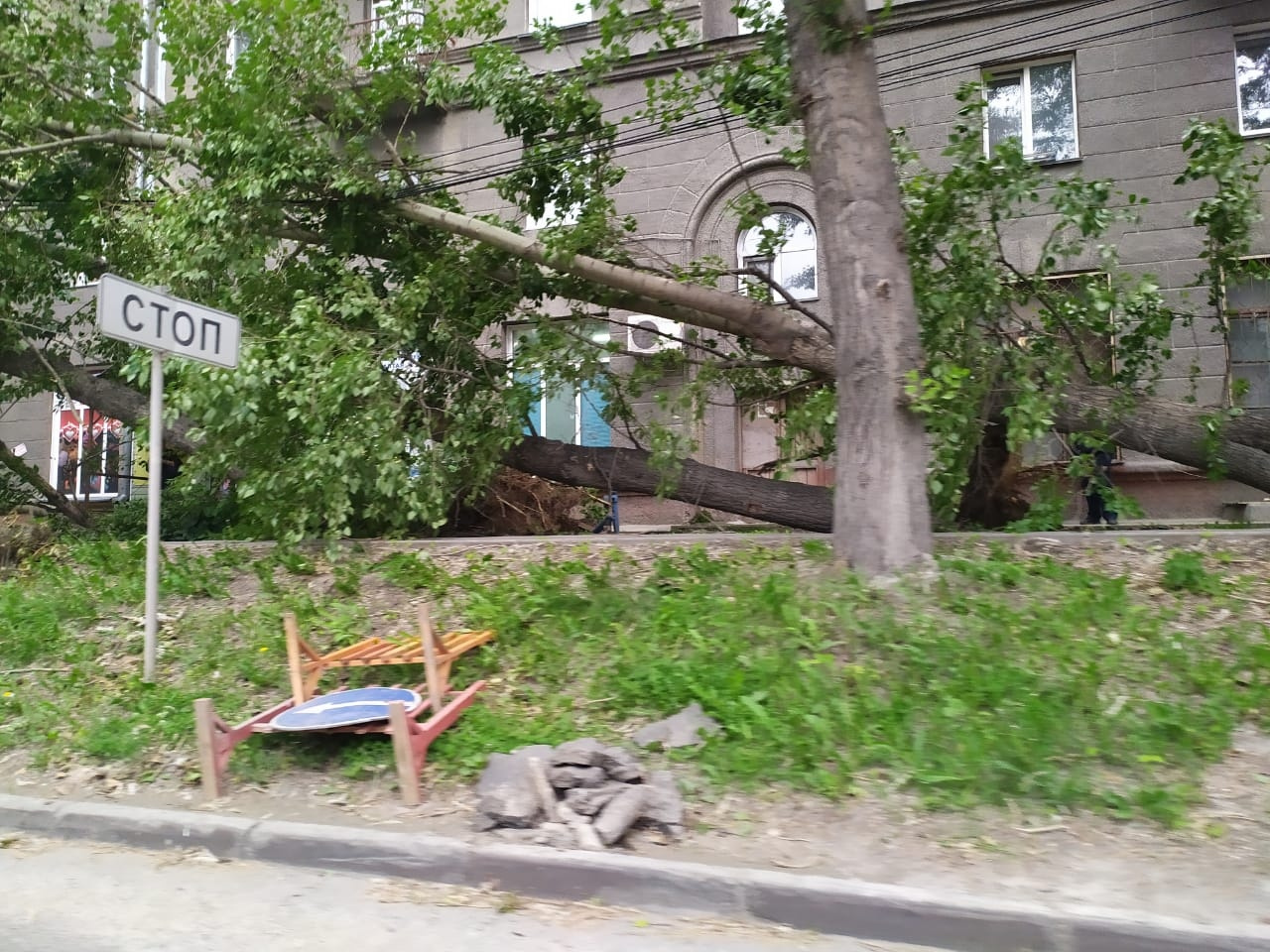 Ураган в новосибирске вчера. Ураганный ветер в Новосибирске 2009. Тополь после урагана. Тополя после урагана Северодвинск. Снесло крышу на Палласа в Новосибирске.