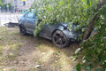 Лихач на Mercedes с «красивым» номером сбил пешехода и снес дерево в центре Тюмени