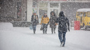 Новосибирск накроет порывистым ветром и мокрым снегом