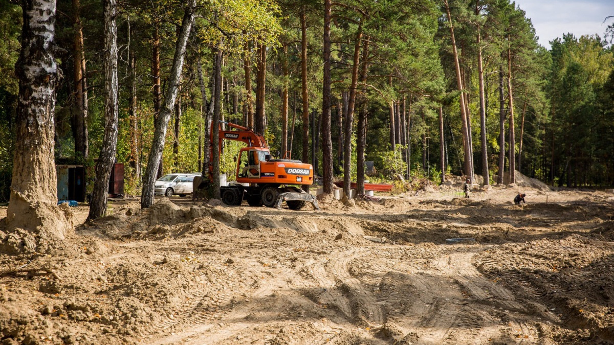 «Вы посмотрите, что творят»: какие земли в Новосибирске готовят к точечной застройке, а леса — к вырубке