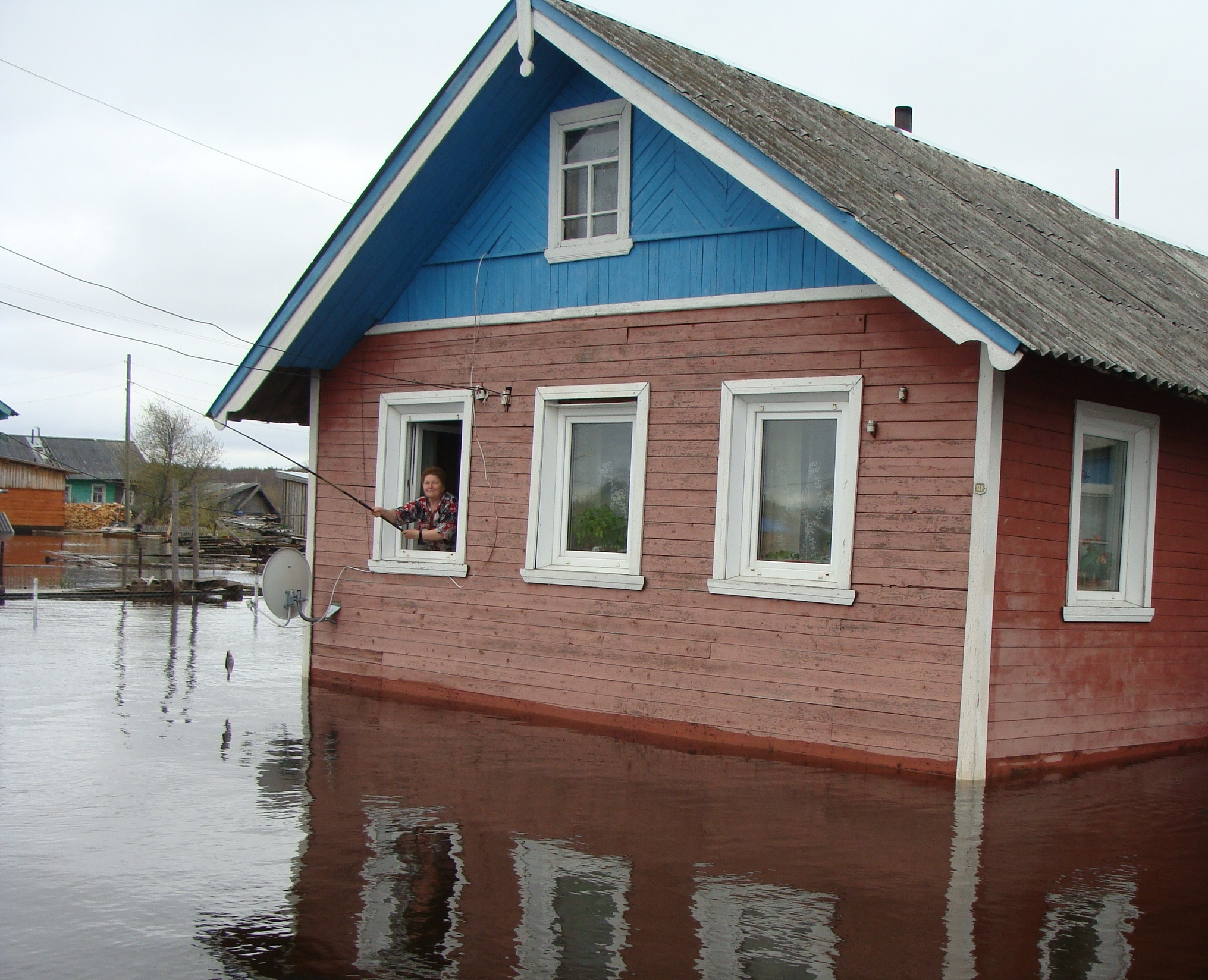 екатерина шалакуша. станция емца архангельская область. синоптик шалакуша. сяпся речная 15. ооо " метис" архангельская область шалакуша.