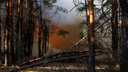 Площадь пожара в Тарасовском районе превысила 800 гектаров