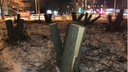 В Челябинске ужесточили правила сноса и высадки деревьев