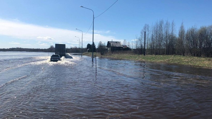 Затоплен участок трассы М-8 в Шенкурском районе. Дорожное движение могут полностью остановить
