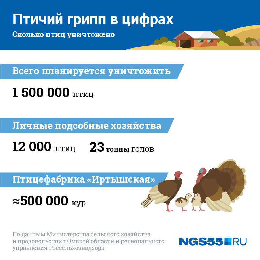 Был ли птичий грипп. Птичий грипп статистика. Птичий грипп в Казахстане. Объявление птичий грипп.