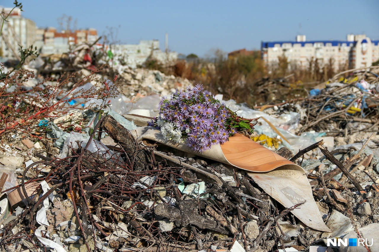 Налево — Кремль. Цветы из садов рассеялись по мусорным отвалам