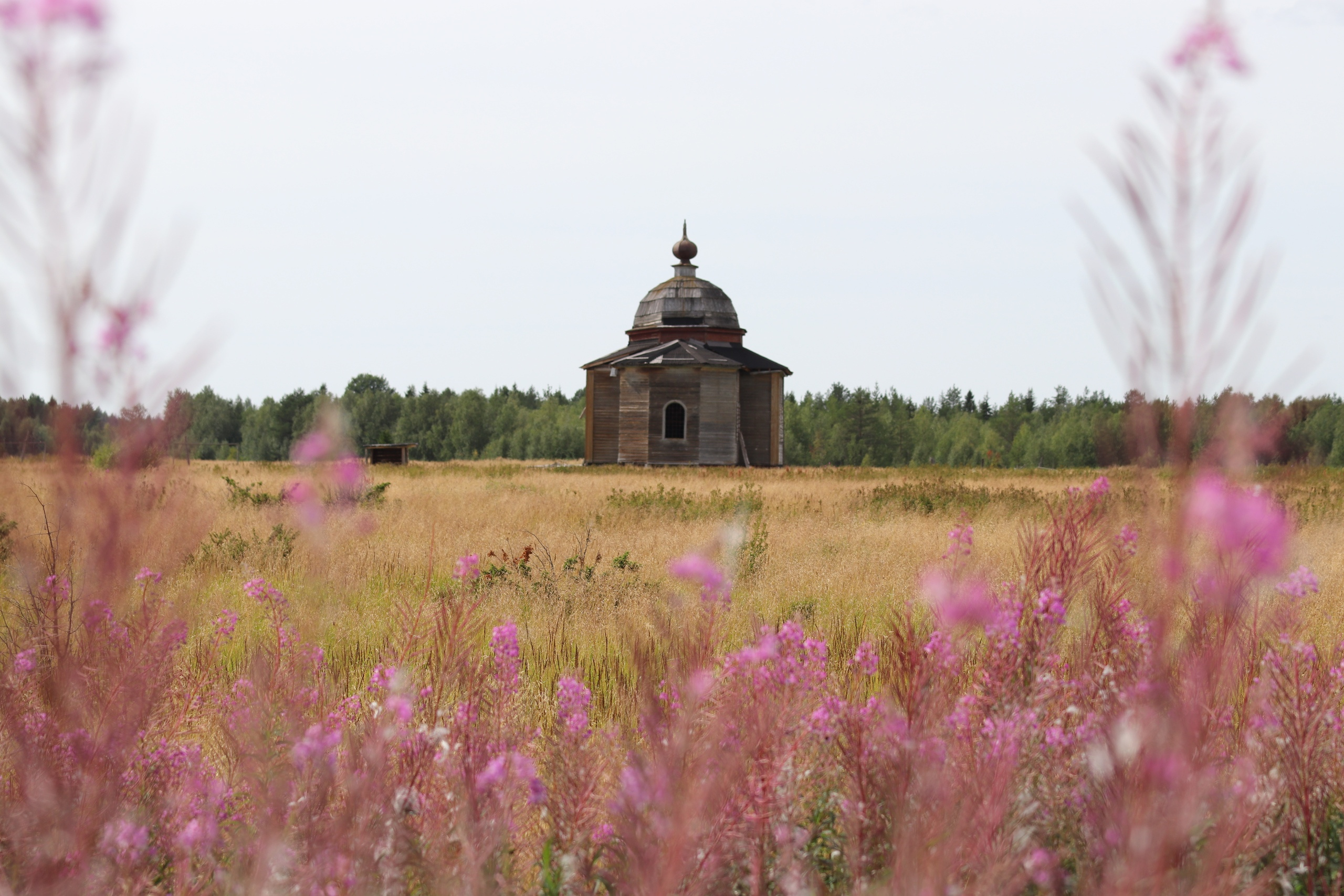 Рп5 село архангельское. Картинка Старая Часовенка в поле. Деревня красная горка Архангельская область. Деревня Архангельское Красноярский край. Фото деревни ягодный.