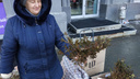 Уличные торговцы начали продавать багульник в Новосибирске