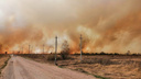 В Кудряшовском поселке Новосибирской области горят поля и дачи — очевидцы сняли пожар