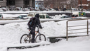 Прошедшая зима в Новосибирске вошла в топ-5 самых снежных и тёплых за полвека