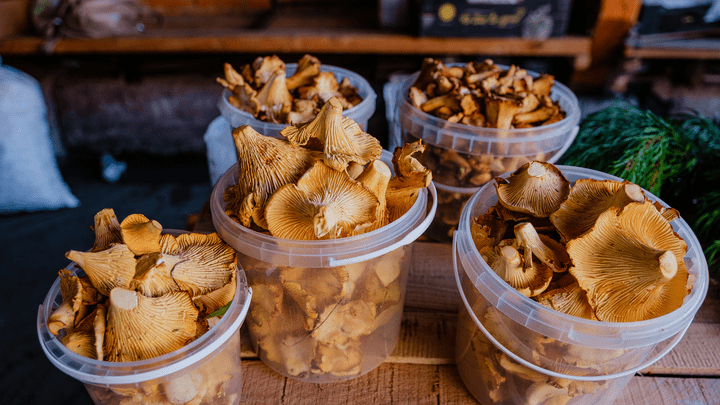 На рынке и у бабушек: разбираемся, сколько стоят лисички, подосиновики и белые грибы в Перми