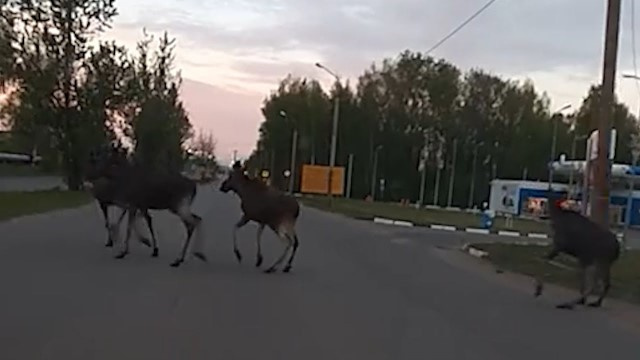 Фото с сайта департамента yarregion.ru