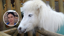 «Это моя детская мечта»: нижегородка взяла под опеку карликовую лошадь из «Лимпопо» на время эпидемии