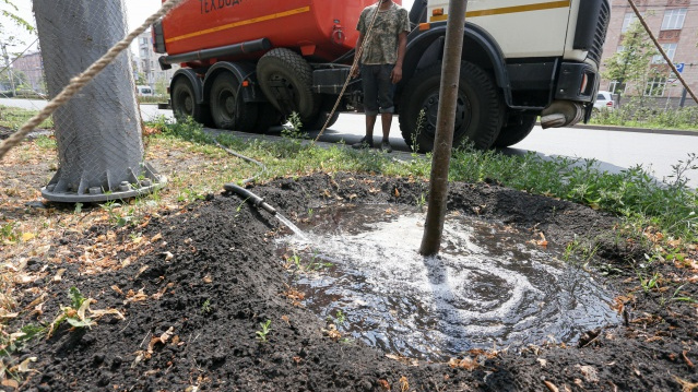 В Челябинской области из-за засухи ввели режим чрезвычайной ситуации