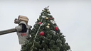 В Центральном парке начали украшать елку новогодними игрушками
