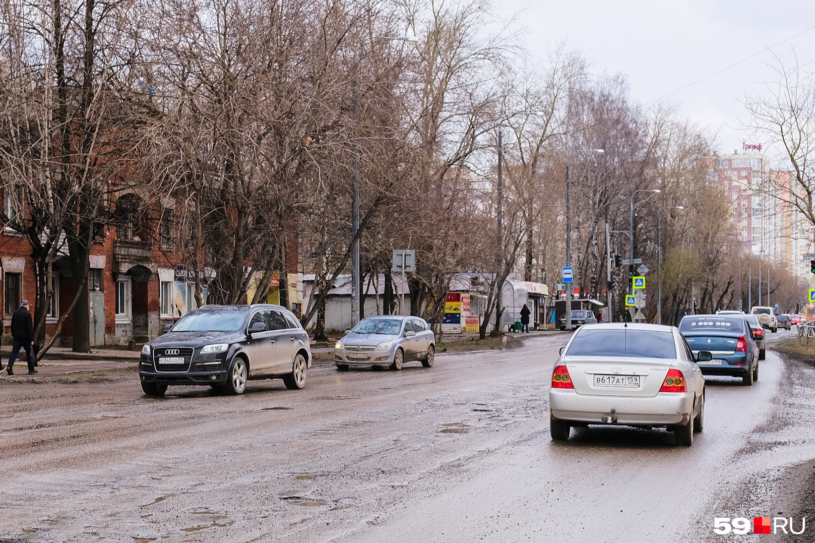 Фото карпинского 112