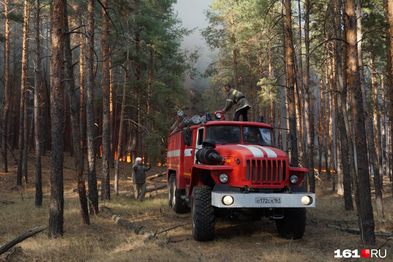 дфо лесное хозяйство. хабаровское лесное хозяйство сосновка. задачи федерального агентства лесного хозяйства. дфо лесное хозяйство. дфо лесное хозяйство.