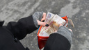 «Остановить эту вакханалию»: Госдума приняла закон о кредитном самозапрете — как он защитит от мошенников и безответственности