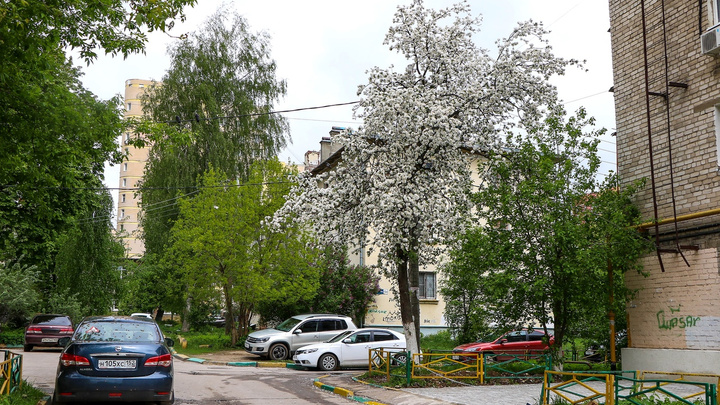 То дождь, то солнце: в эти выходные в Нижнем Новгороде ожидается переменчивая погода