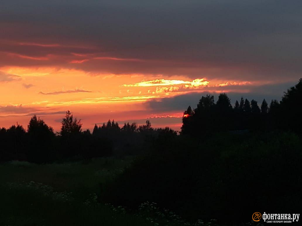 сталкер аномалия. тополиный пух. аномалия лета. R. 5.