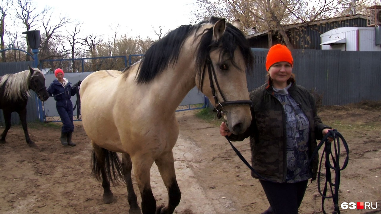 Елена с удовольствием сама занимается лошадьми