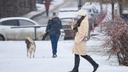 Мороз сдается: какой будет погода в Ростове в эти выходные