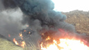 «Огонь горит днем и ночью»: как уничтожали свиней в селах Самарской области