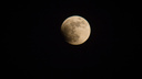 В небе над Новосибирском пройдет лунное затмение — когда его можно увидеть