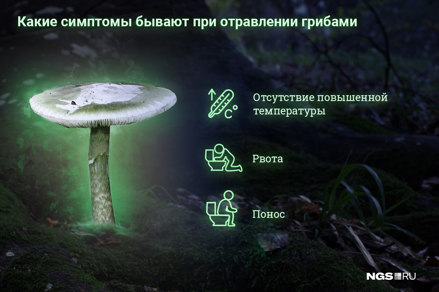 В зависимости от вида ядовитых грибов могут проявляться и другие симптомы