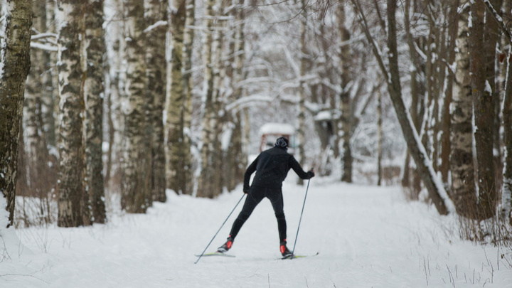 В Ярославле откроются бесплатные лыжни: адреса