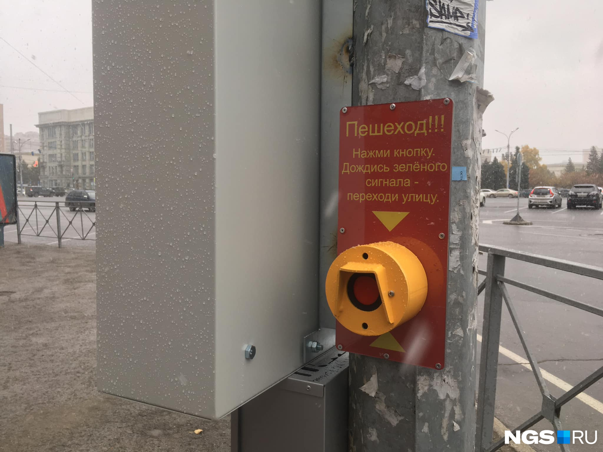 На светофорах есть кнопка для пешеходов