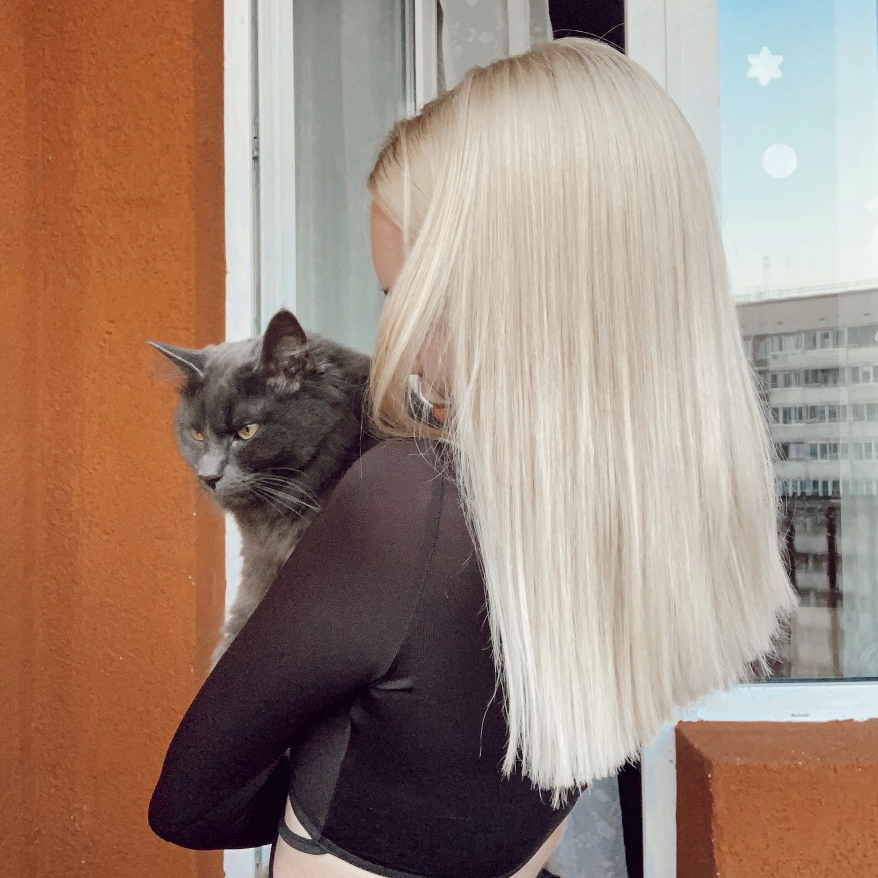 Мы надеемся, что Кузя найдётся Мы надеемся, что Кузя найдётся