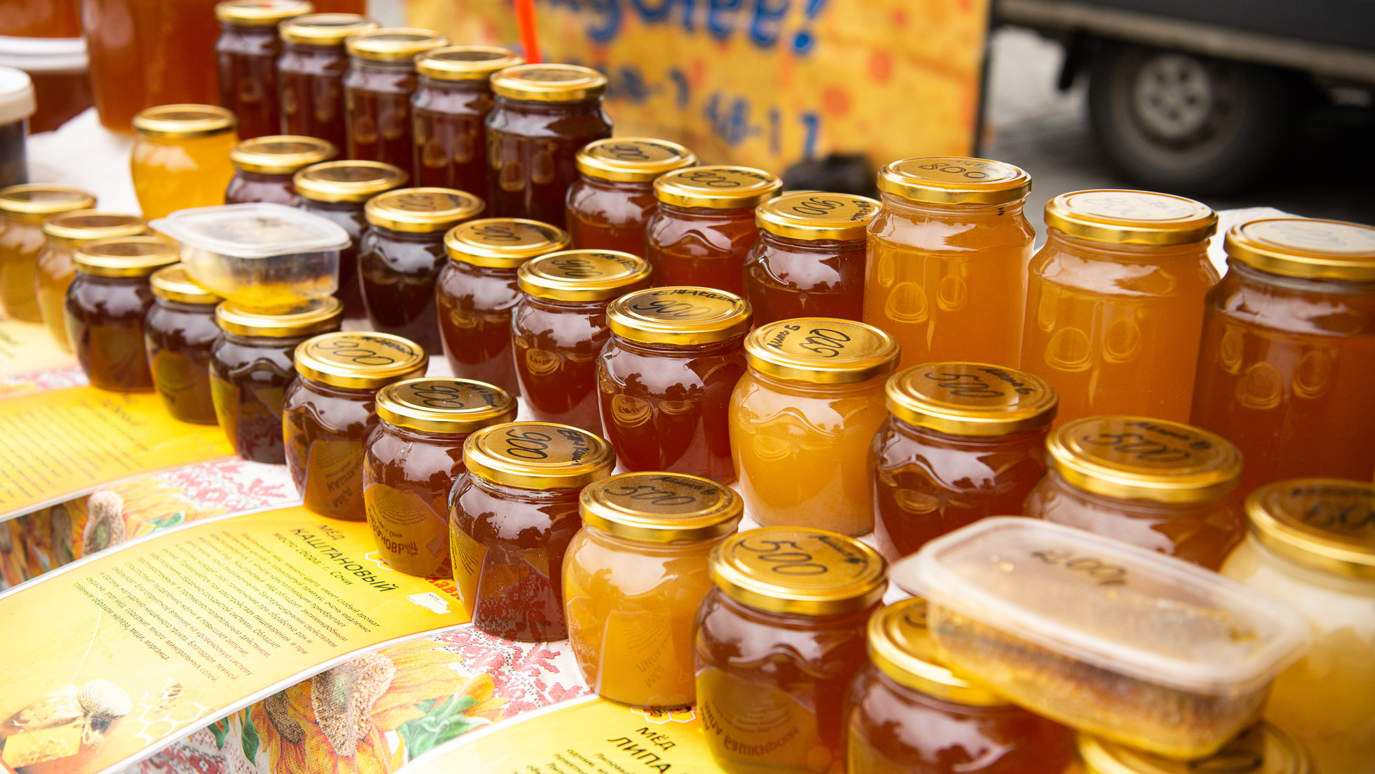 Укуси меня пчела! Сколько стоит мёд в Чите и как его правильно выбрать