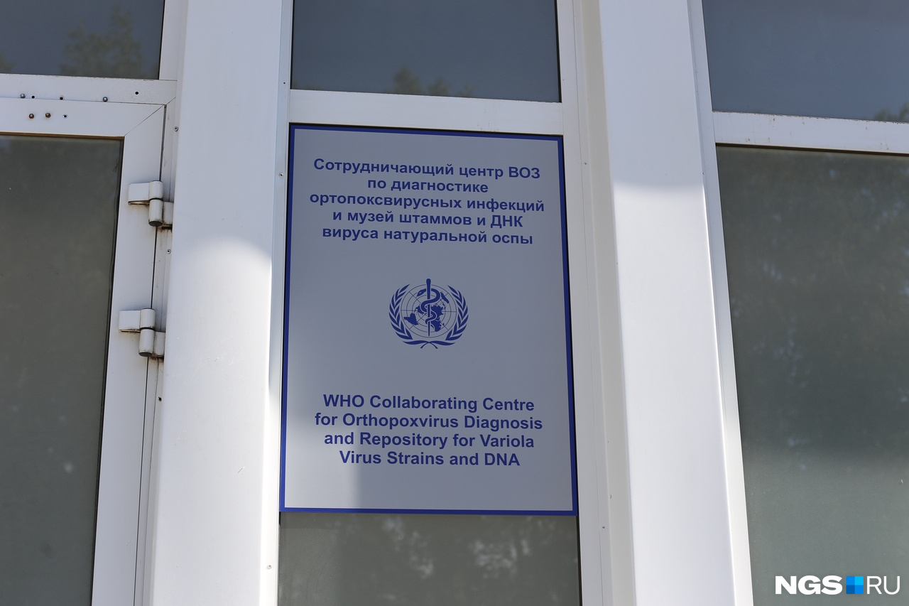 Паспортизирует образцы коронавируса в России новосибирский «Вектор»