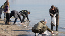 Прокуратура проверит обстоятельства массовой гибели рыбы в Дону