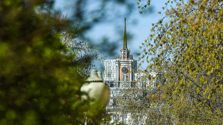 Город в зеленой дымке: любуемся Екатеринбургом, каким он бывает только раз в году