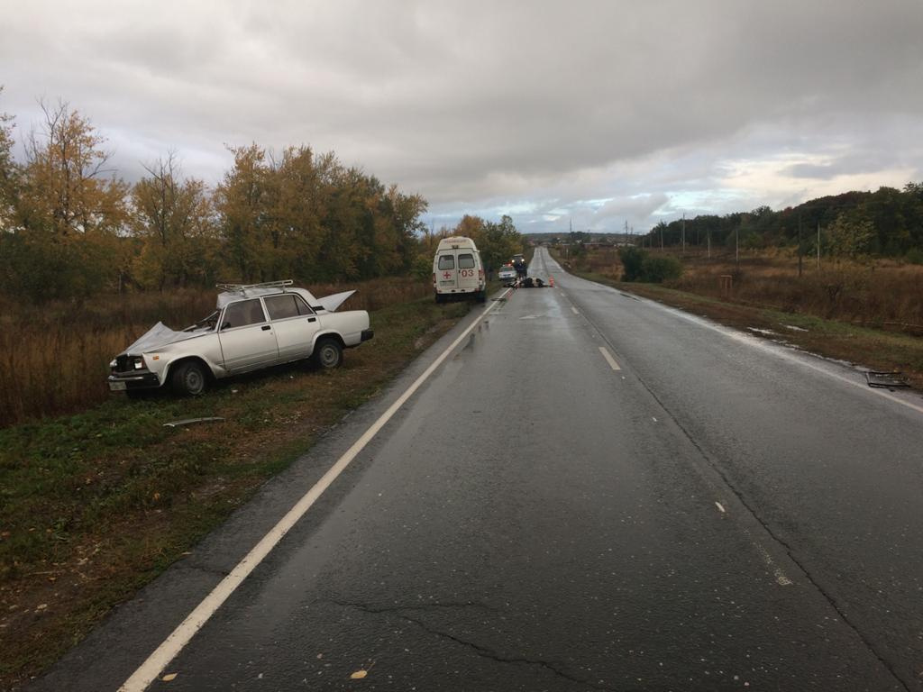 Корова, судя по фото, получила тяжелые травмы Корова, судя по фото, получила тяжелые травмы