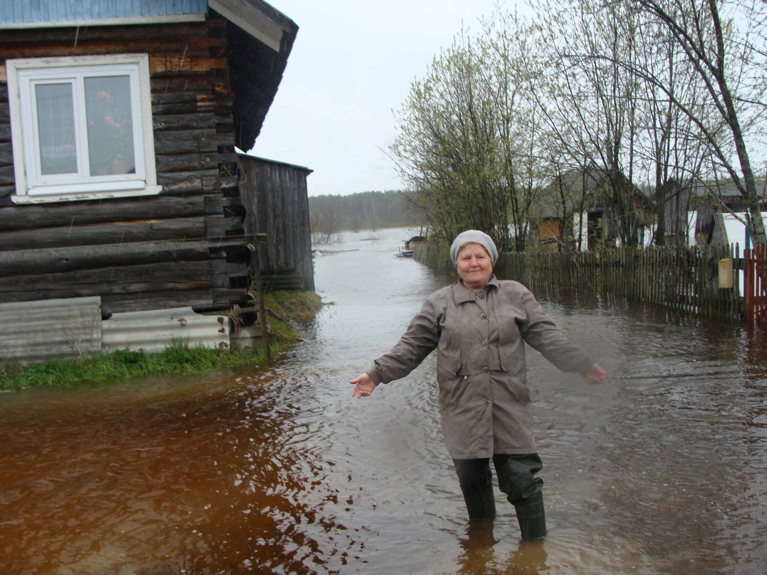 Шалакуша няндомский район карта