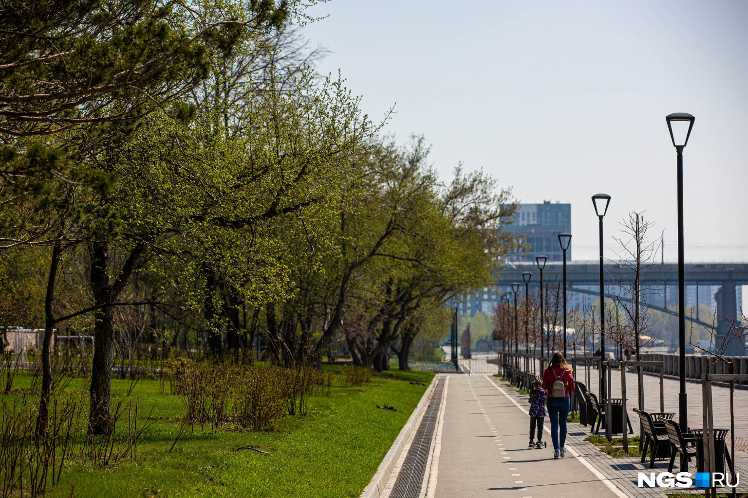 Зеленый новосибирск. Новосибирск зеленые зоны. Красивые места в Новосибирске для прогулок весной. Красивые места в Новосибирске для прогулок летом. Красивые улицы в Новосибирске для прогулок.