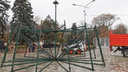 В центре Ростова начала расти новогодняя елка